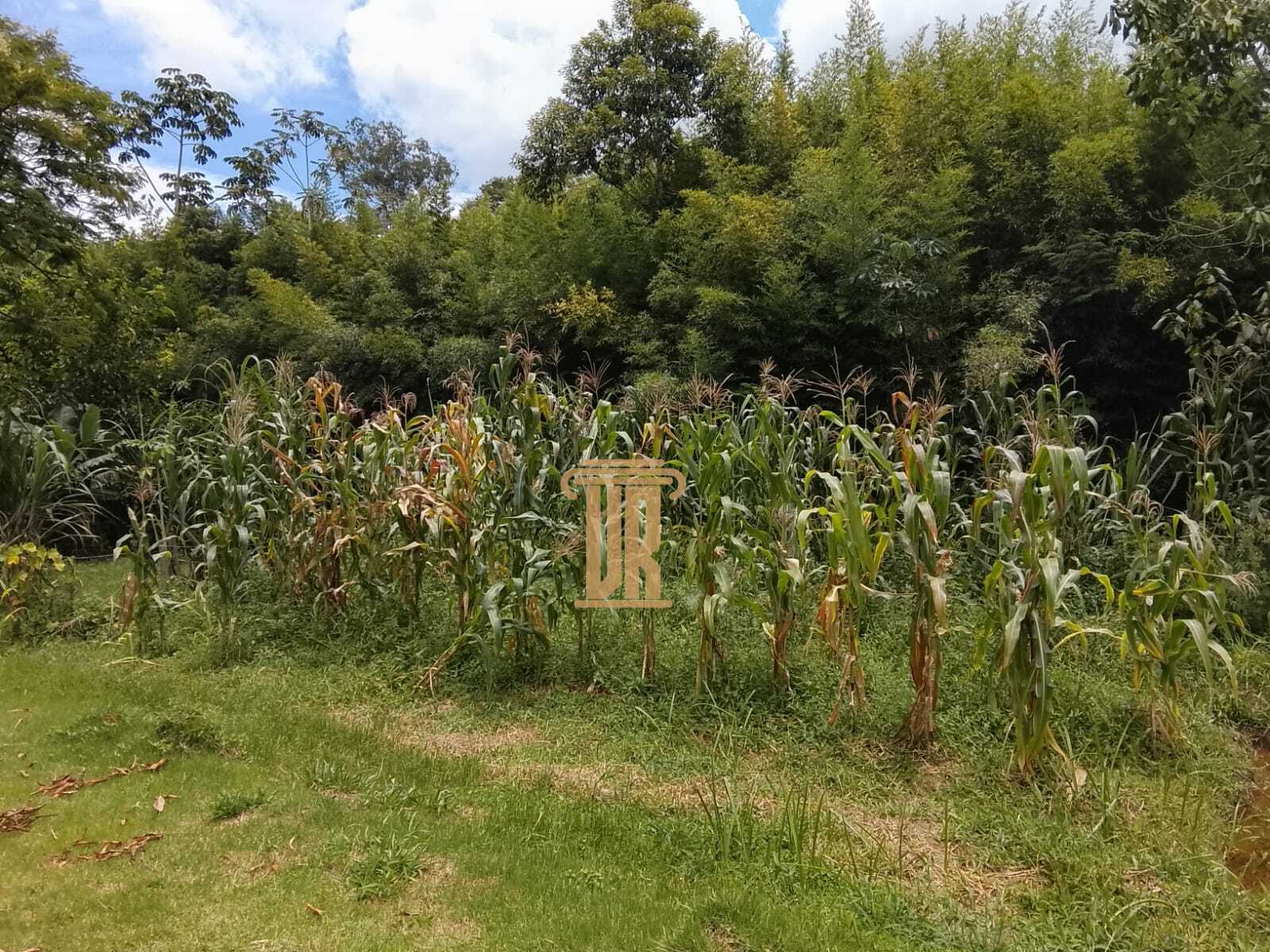 Ch&aacute;cara de 5.000m&sup2;  venda em S&atilde;o Jos&eacute; dos Campos - SP  São José dos Campos - 