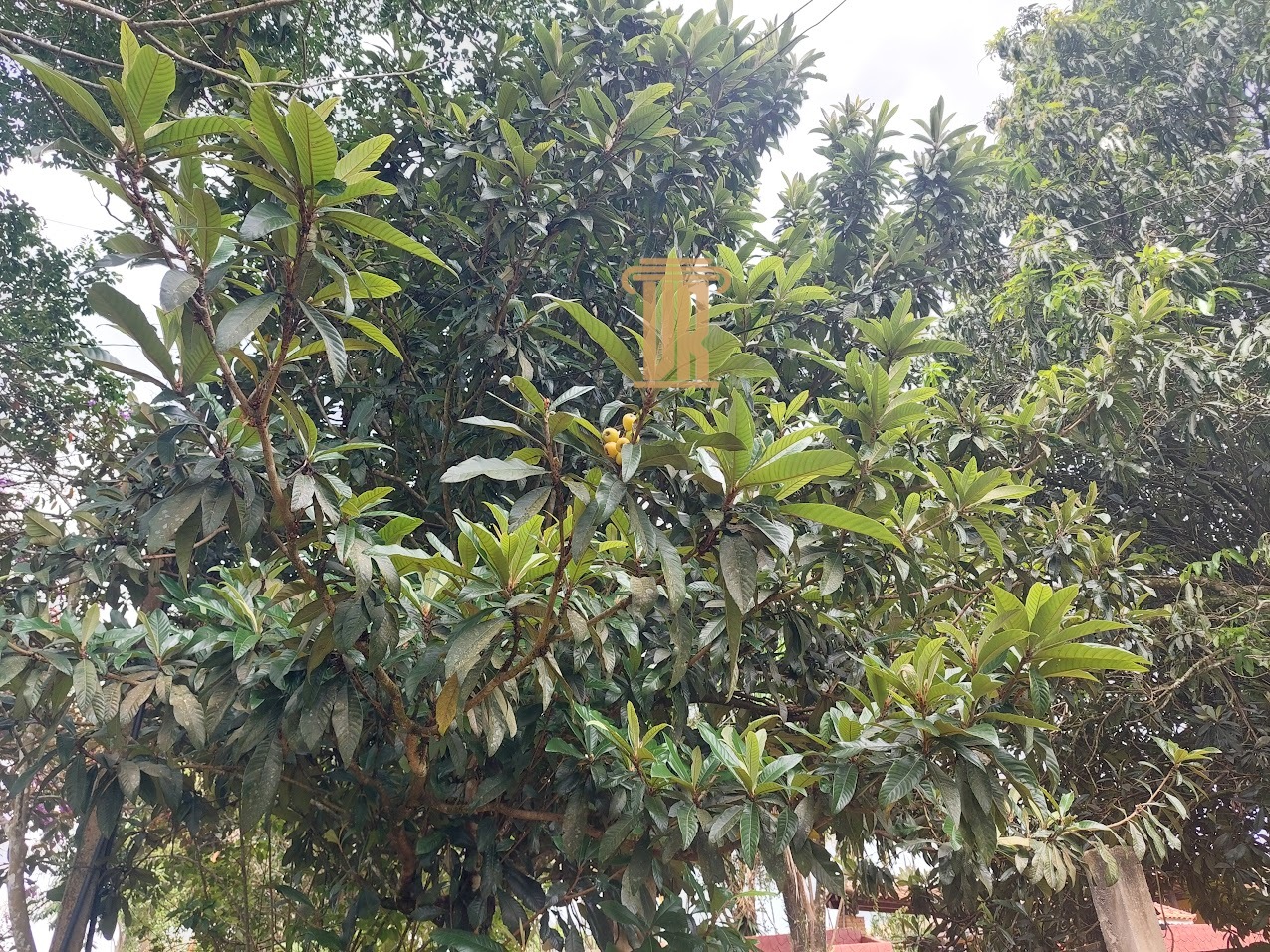 Ch&aacute;cara de 1.800m&sup2; a venda em S&atilde;o Jos&eacute; dos Campos - SP Rua Audemo Veneziani São José dos Campos - 