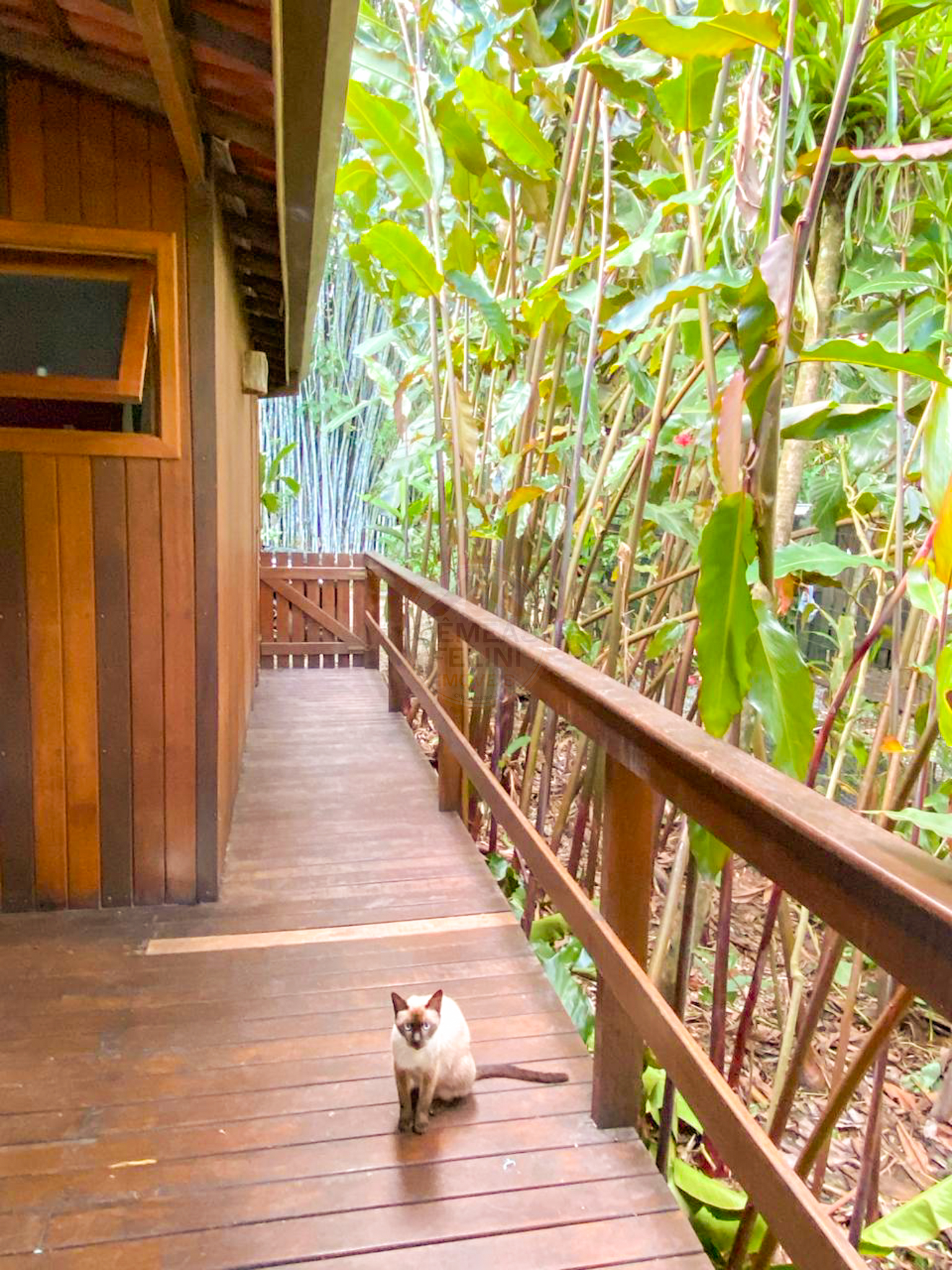 Ref&uacute;gio Charmoso no Condom&iacute;nio Colibris &ndash; 2 Su&iacute;tes, Jacuzzi e &Aacute;rea Gourmet - LOCA&Ccedil;&Atilde;O ANUAL  São Sebastião - 
