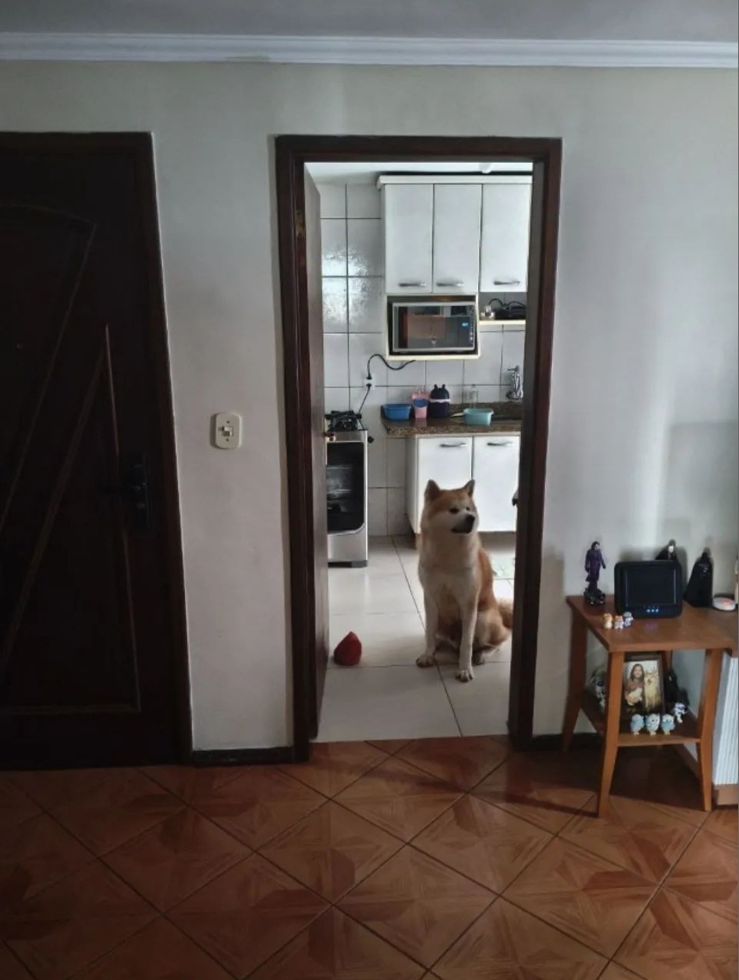 apartamento jardim caiapia Estrada Manoel Lages do Chao Cotia - 