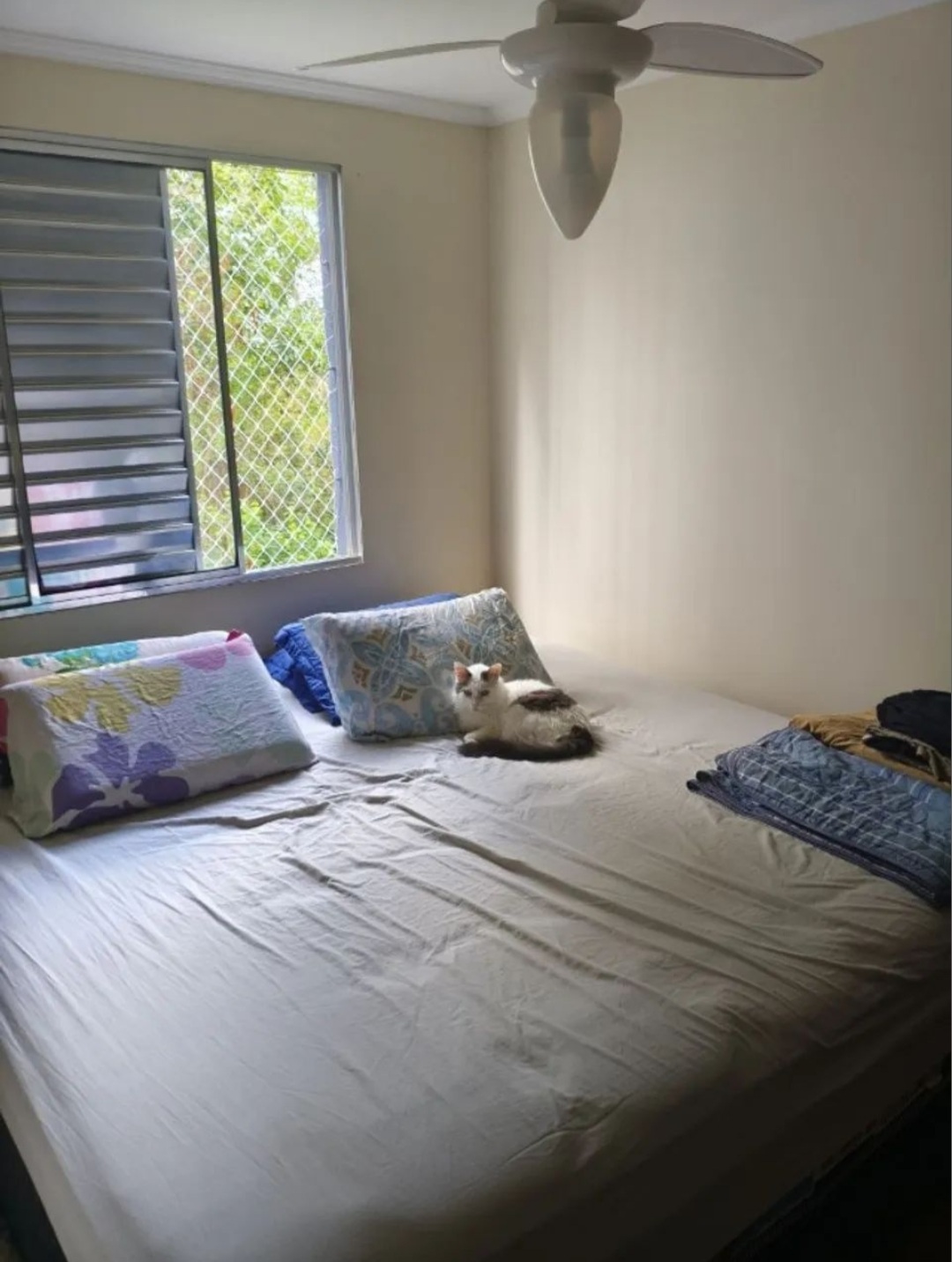 apartamento jardim caiapia Estrada Manoel Lages do Chao Cotia - 