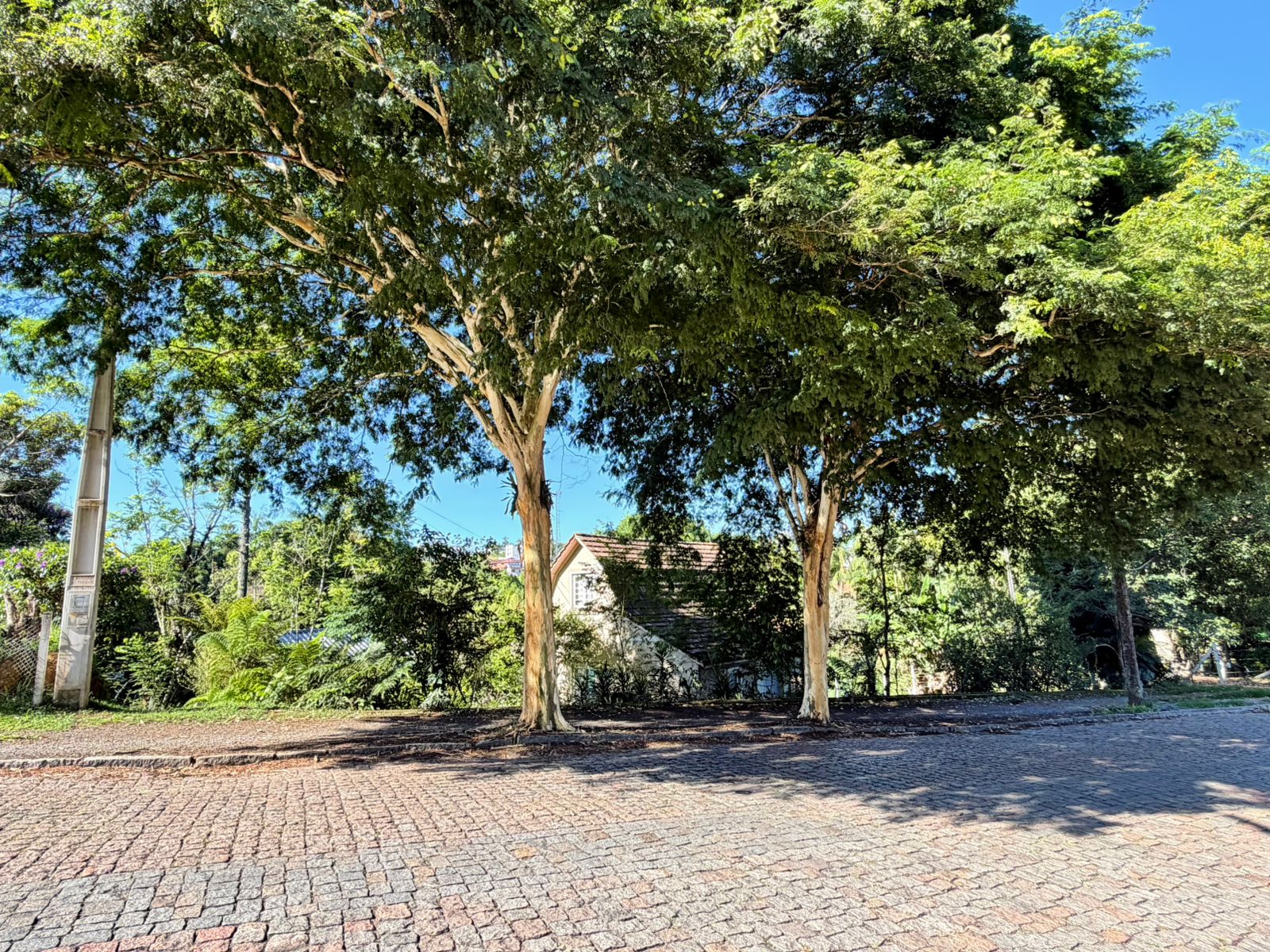 Casa antiga em Timb&oacute;, terreno com 1.750m&sup2;, Quintino Bocaiuva  Timbó - 