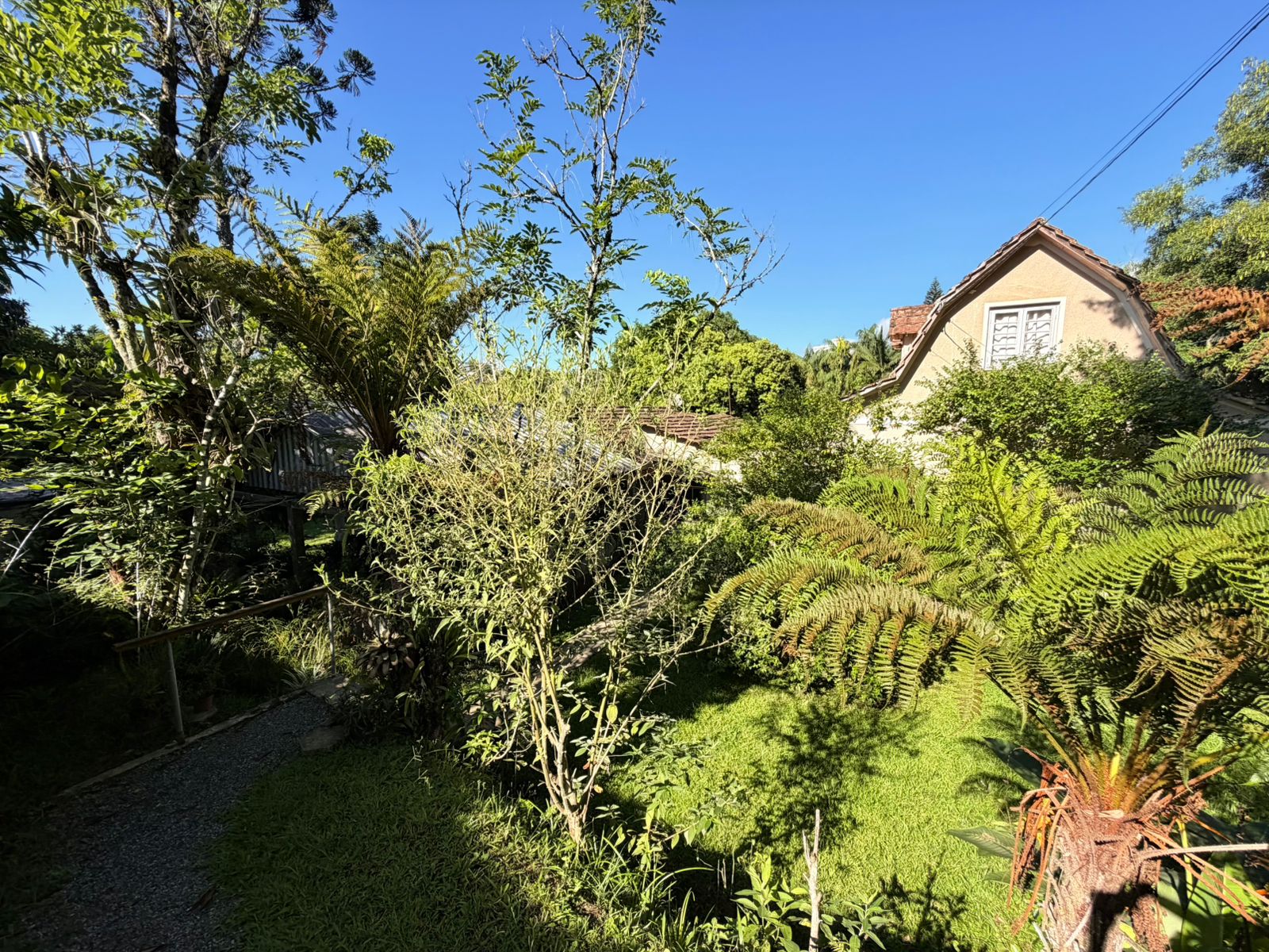 Casa antiga em Timb&oacute;, terreno com 1.750m&sup2;, Quintino Bocaiuva  Timbó - 