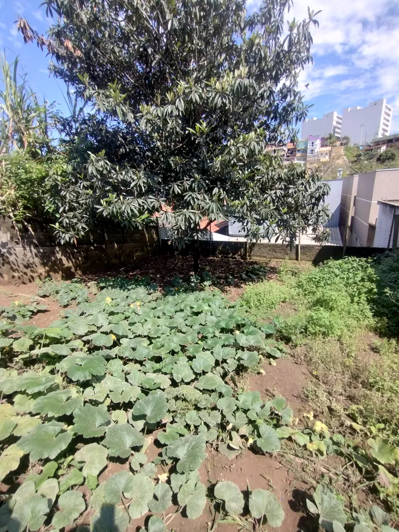 Casa &agrave; venda no centro de Igarat&aacute;  Igaratá - 