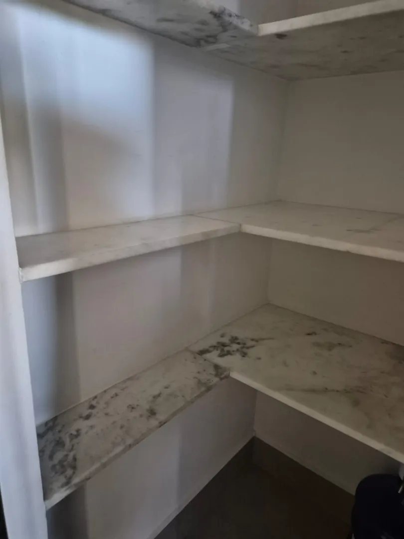 ✨🌿 LINDA CASA &Agrave; VENDA &ndash; CONFORTO, NATUREZA E LAZER COMPLETO! 🌿✨ Rua Mirta Coluccini Porto - - 