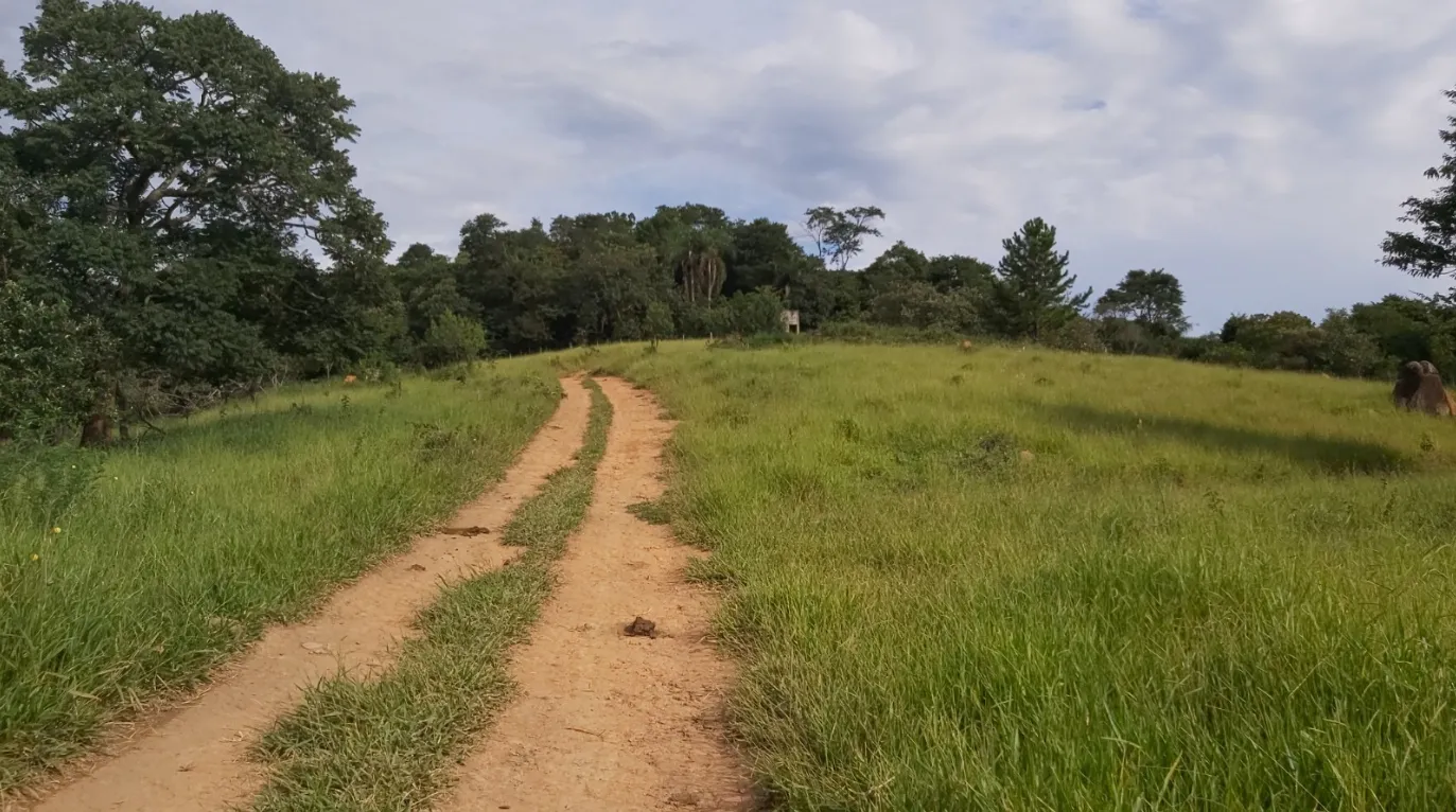 Sitio oportunidade em Araçariguama: Refúgio Completo,.20.minutos do Alphaville. São Paulo — foto 6