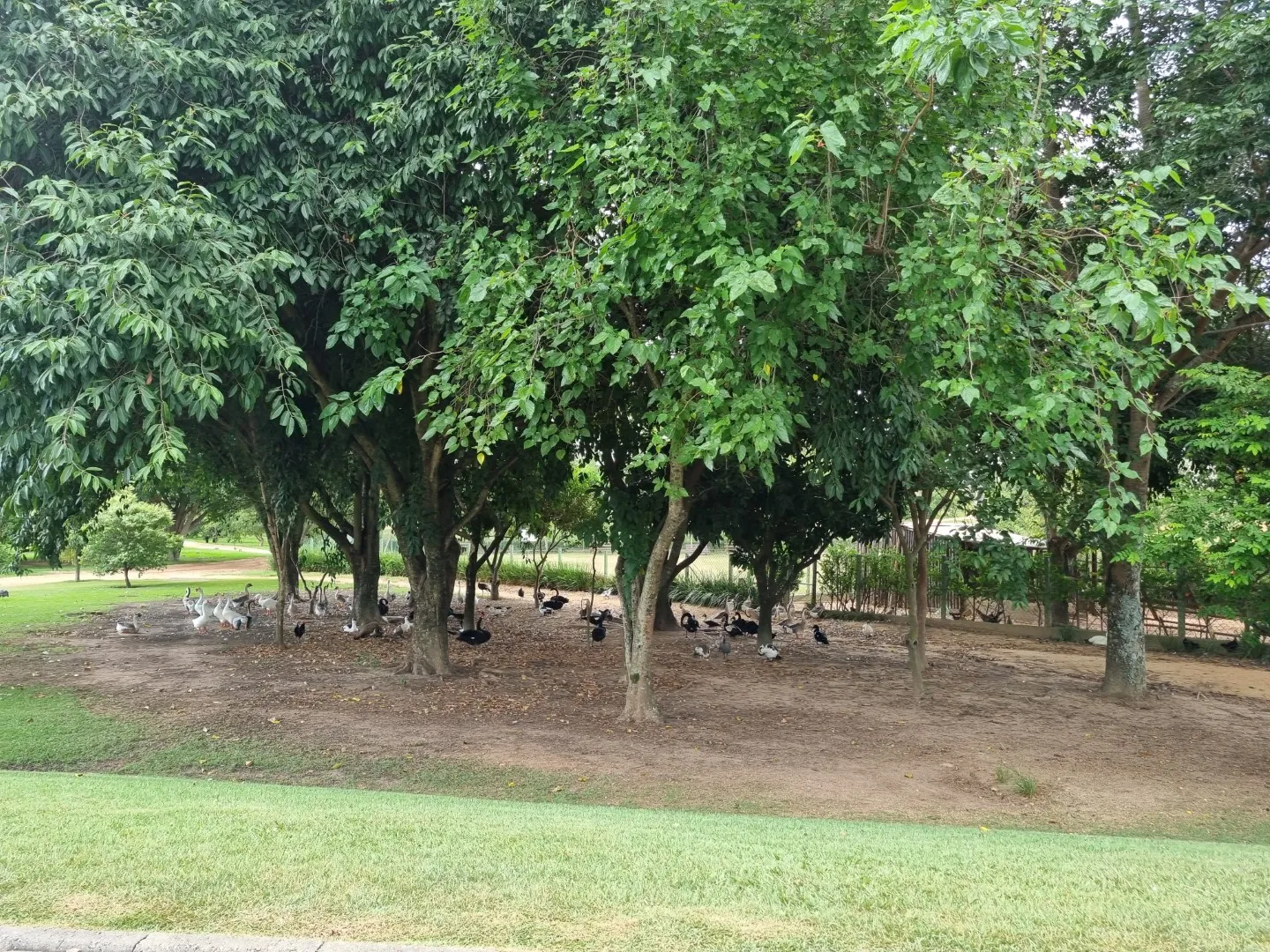 Terreno &agrave; Venda no Condom&iacute;nio Ibiti Royal Park &ndash; Sorocaba/SP ✨ Ref. 1174002 Avenida Fernando Stecca - - 