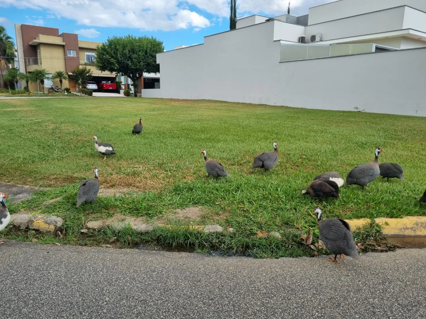 Terreno &agrave; Venda no Condom&iacute;nio Ibiti Royal Park &ndash; Sorocaba/SP ✨ Ref. 1174002 Avenida Fernando Stecca - - 