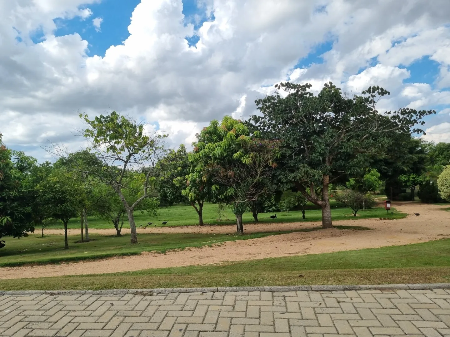 Terreno &agrave; Venda no Condom&iacute;nio Ibiti Royal Park &ndash; Sorocaba/SP ✨ Ref. 1174002 Avenida Fernando Stecca - - 