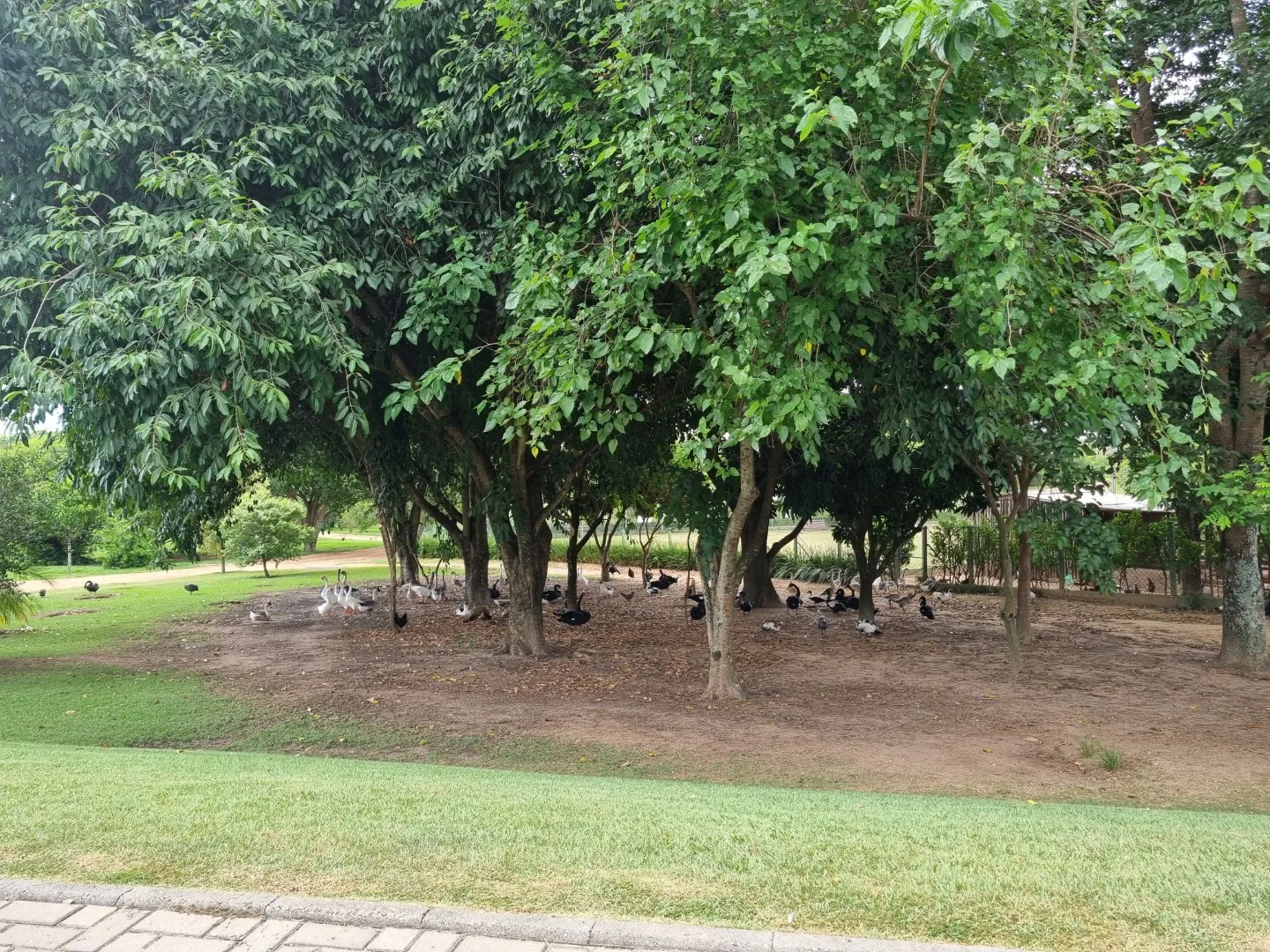 Terreno &agrave; Venda no Condom&iacute;nio Ibiti Royal Park &ndash; Sorocaba/SP ✨ Ref. 1174002 Avenida Fernando Stecca - - 