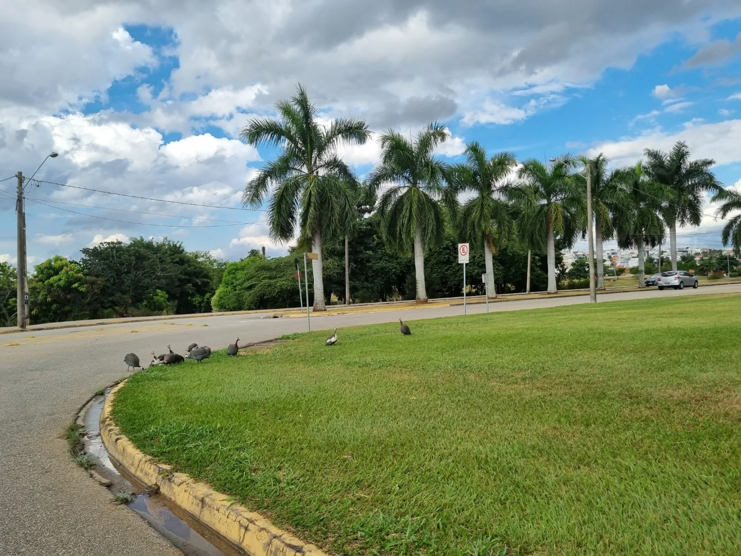 Terreno &agrave; Venda no Condom&iacute;nio Ibiti Royal Park &ndash; Sorocaba/SP ✨ Ref. 1174002 Avenida Fernando Stecca - - 