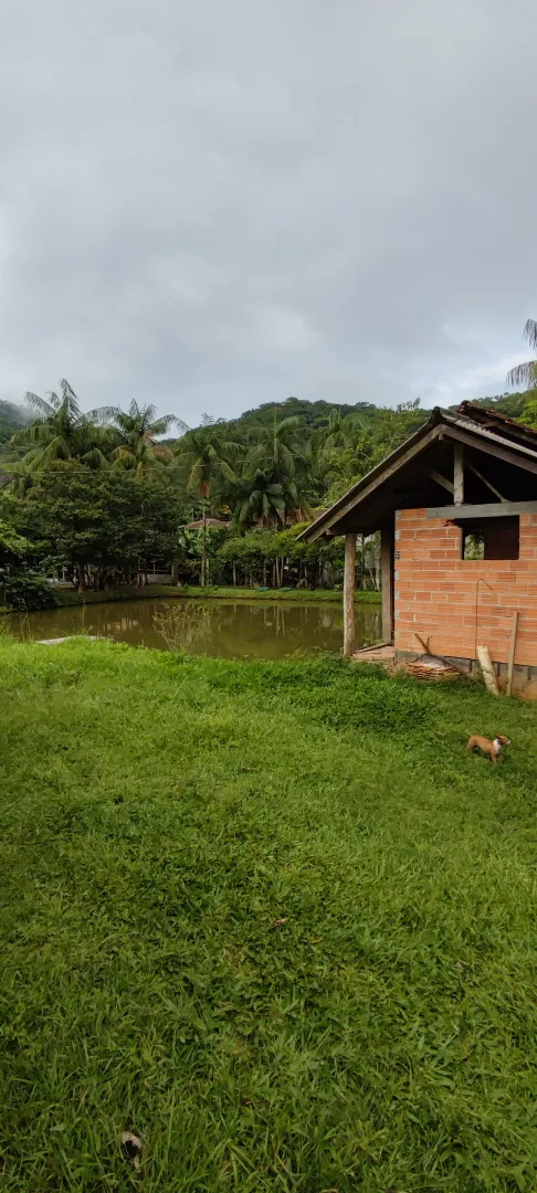 Chácara em Blumenau. Com rancho em construção. Lagoa com água. Poço artesiano. Pomar — foto 7