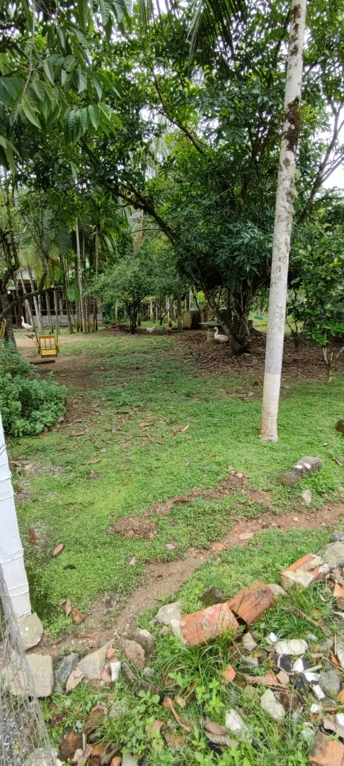 Chácara em Blumenau. Com rancho em construção. Lagoa com água. Poço artesiano. Pomar — foto 13