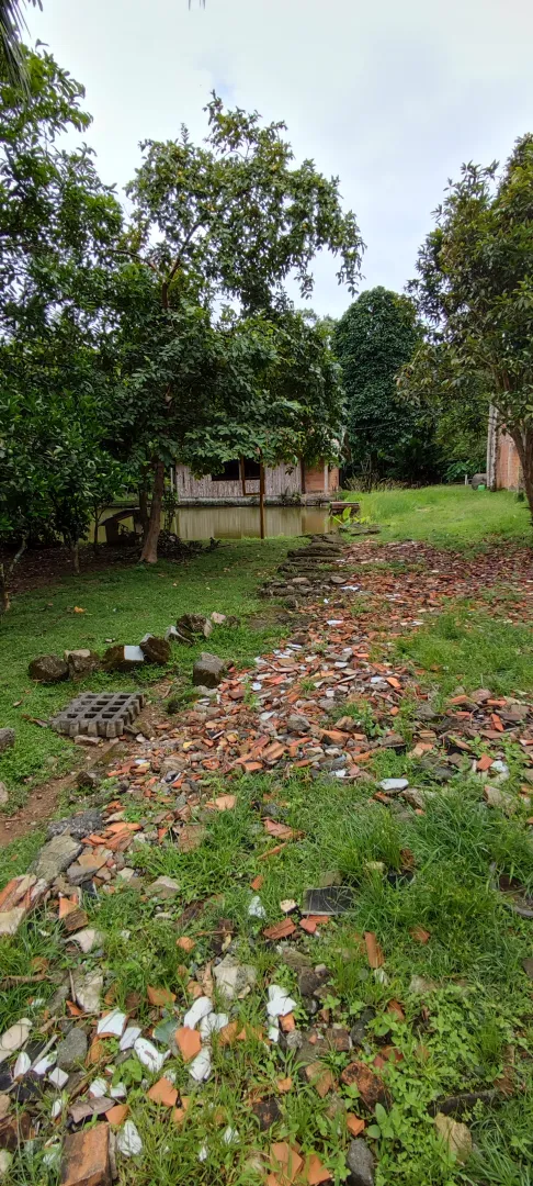 Chácara em Blumenau. Com rancho em construção. Lagoa com água. Poço artesiano. Pomar — foto 3