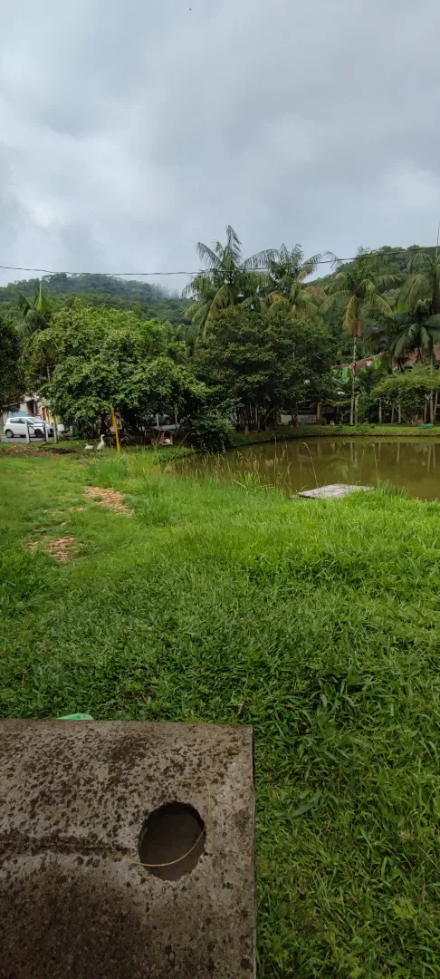 Chácara em Blumenau. Com rancho em construção. Lagoa com água. Poço artesiano. Pomar — foto 8
