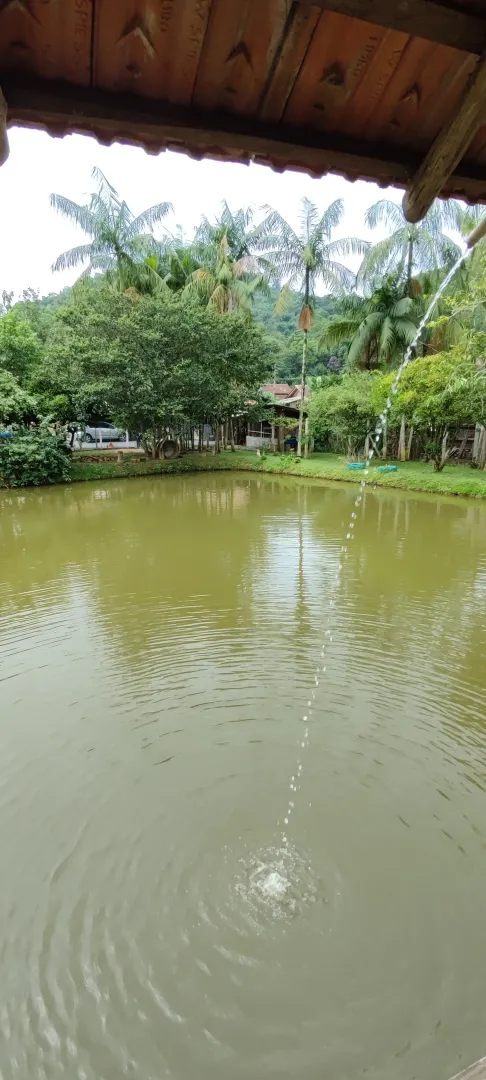 Chácara em Blumenau. Com rancho em construção. Lagoa com água. Poço artesiano. Pomar — foto 11