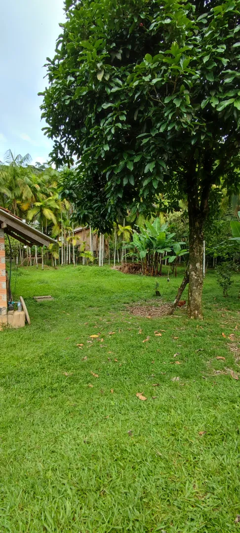 Chácara em Blumenau. Com rancho em construção. Lagoa com água. Poço artesiano. Pomar — foto 5