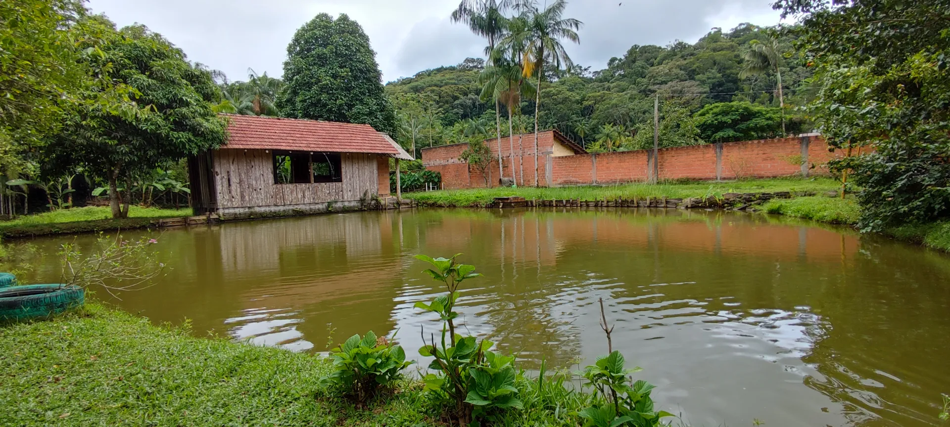 Chácara em Blumenau. Com rancho em construção. Lagoa com água. Poço artesiano. Pomar — foto 4
