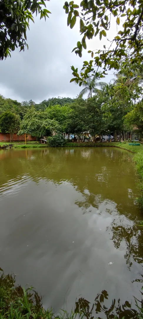 Chácara em Blumenau. Com rancho em construção. Lagoa com água. Poço artesiano. Pomar — foto 2