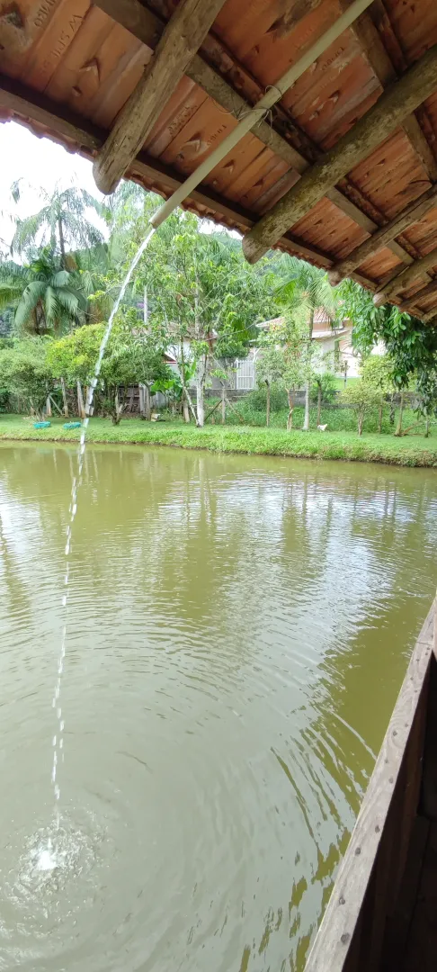 Chácara em Blumenau. Com rancho em construção. Lagoa com água. Poço artesiano. Pomar — foto 12