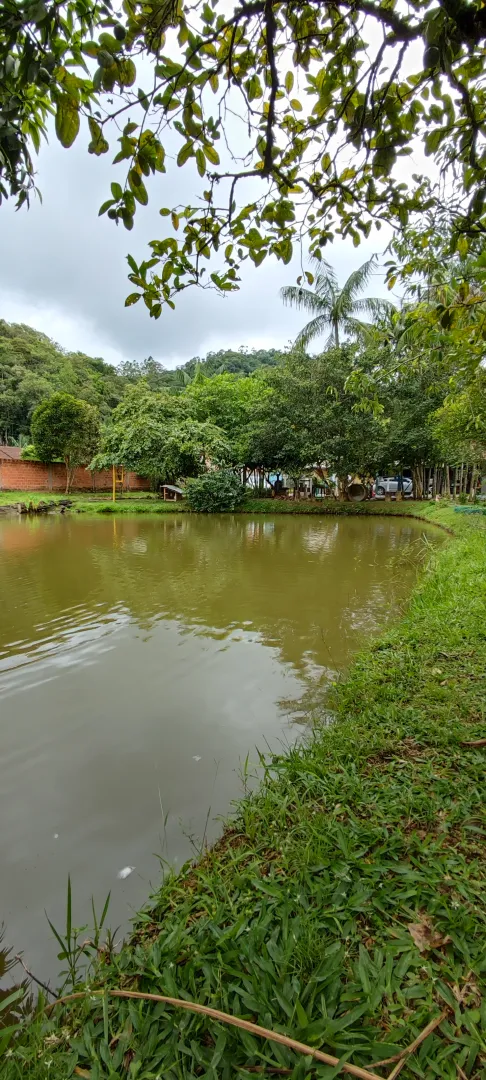 Chácara em Blumenau. Com rancho em construção. Lagoa com água. Poço artesiano. Pomar — foto 9