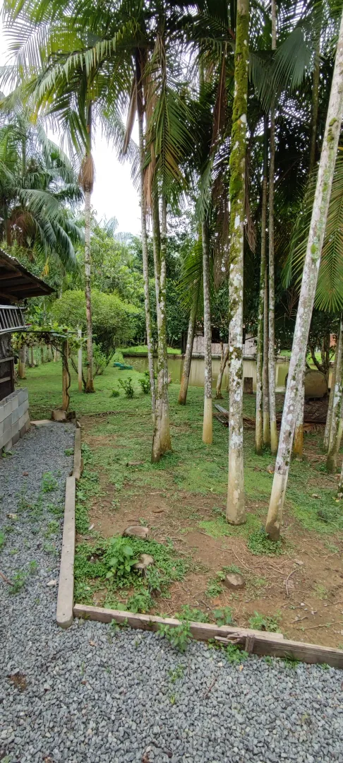 Chácara em Blumenau. Com rancho em construção. Lagoa com água. Poço artesiano. Pomar — foto 10