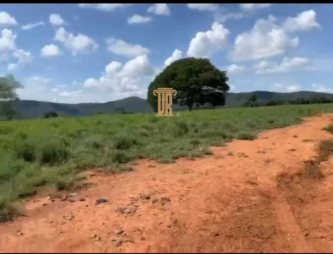 Fazenda &agrave; Venda &ndash; Porangatu/GO  Porangatu - 