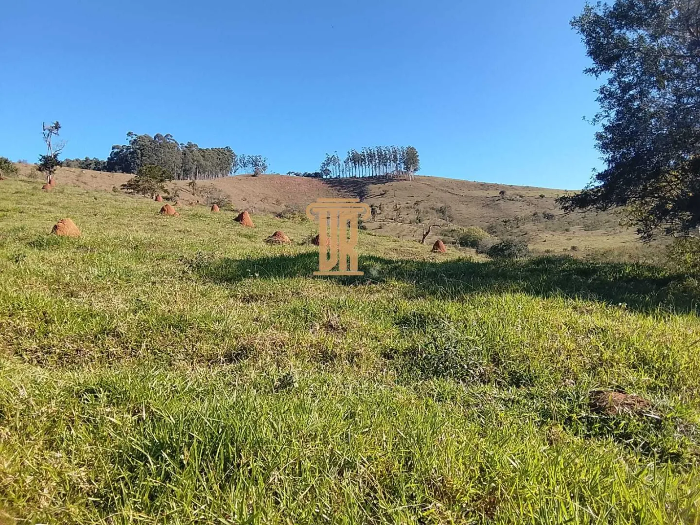 &Aacute;REA DE 5.000M&sup2; EM PARAIBUNA  Paraibuna - 