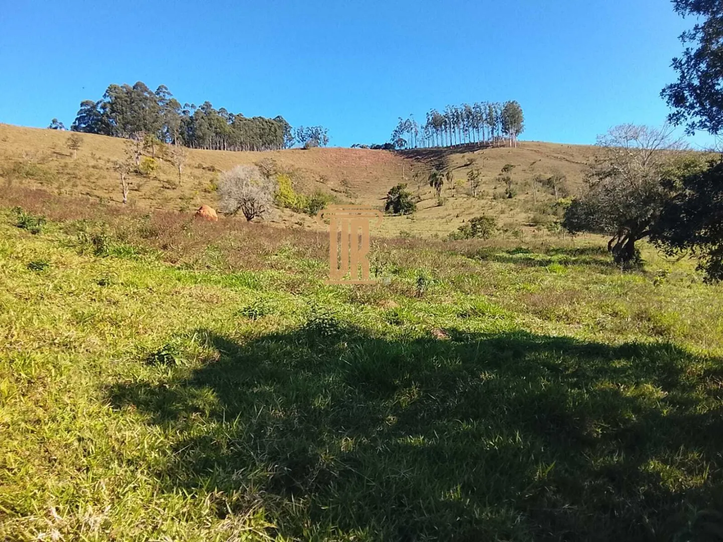 &Aacute;REA DE 5.000M&sup2; EM PARAIBUNA  Paraibuna - 