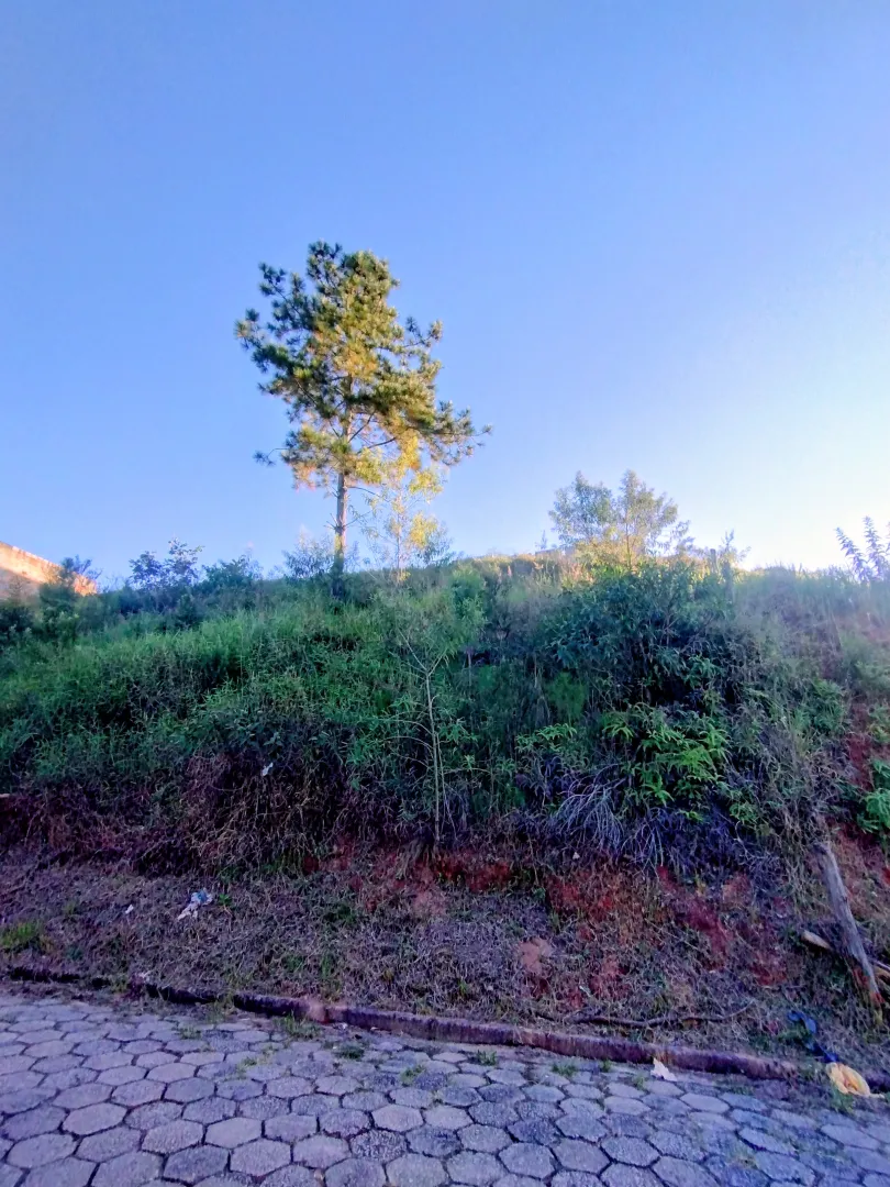 Terreno pr&oacute;ximo &agrave; rodovia Joaquim Sim&atilde;o &agrave; venda no Mirante  Igaratá - 
