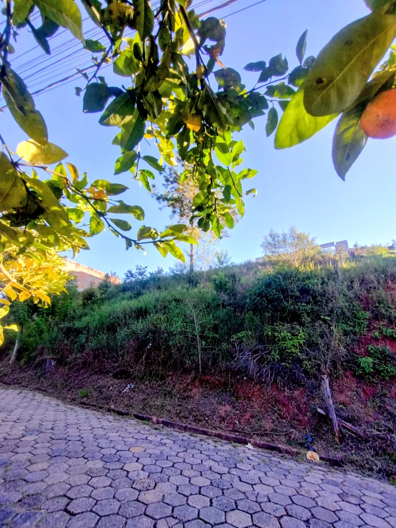 Terreno pr&oacute;ximo &agrave; rodovia Joaquim Sim&atilde;o &agrave; venda no Mirante  Igaratá - 