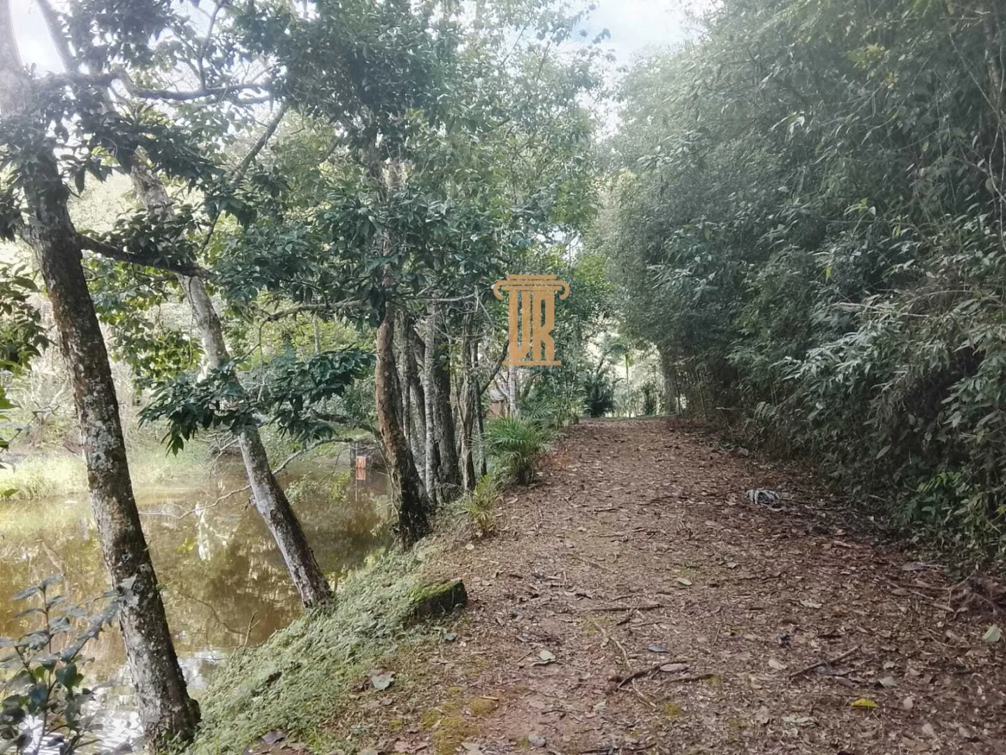 S&iacute;tio e Pousada &agrave; Venda em Monteiro Lobato &ndash; SP  Monteiro Lobato - 