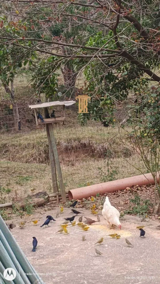 CH&Aacute;CARA &Agrave; VENDA EM REDEN&Ccedil;&Atilde;O DA SERRA- SP  Redenção da Serra - 