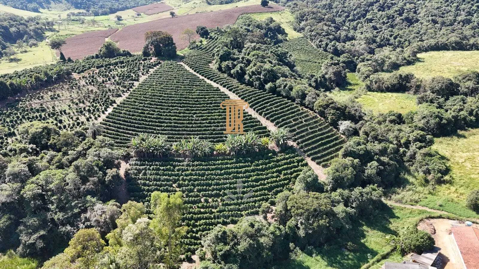 S&Iacute;TIO A VENDA EM SOCORRO COM  45,5 HECTARES  Socorro - 