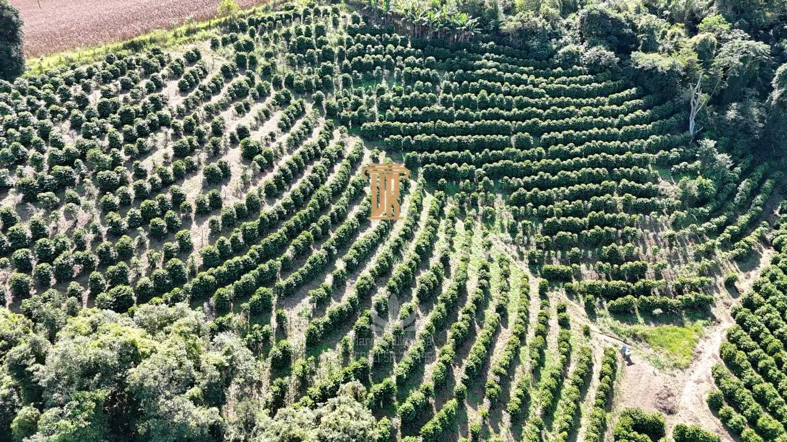 S&Iacute;TIO A VENDA EM SOCORRO COM  45,5 HECTARES  Socorro - 