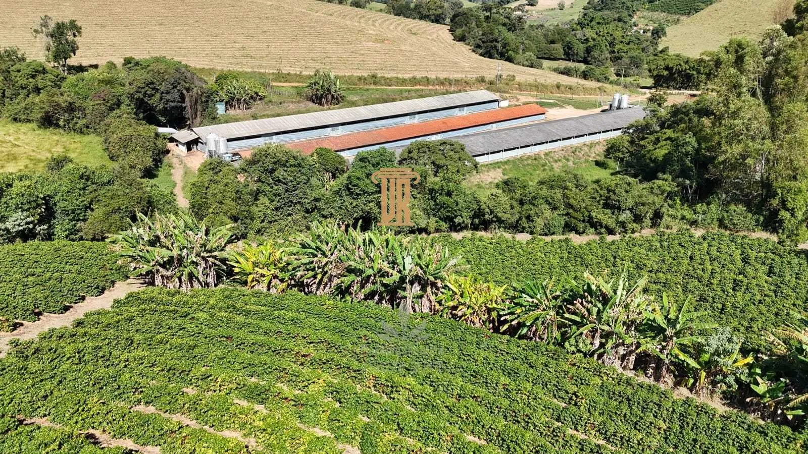 S&Iacute;TIO A VENDA EM SOCORRO COM  45,5 HECTARES  Socorro - 