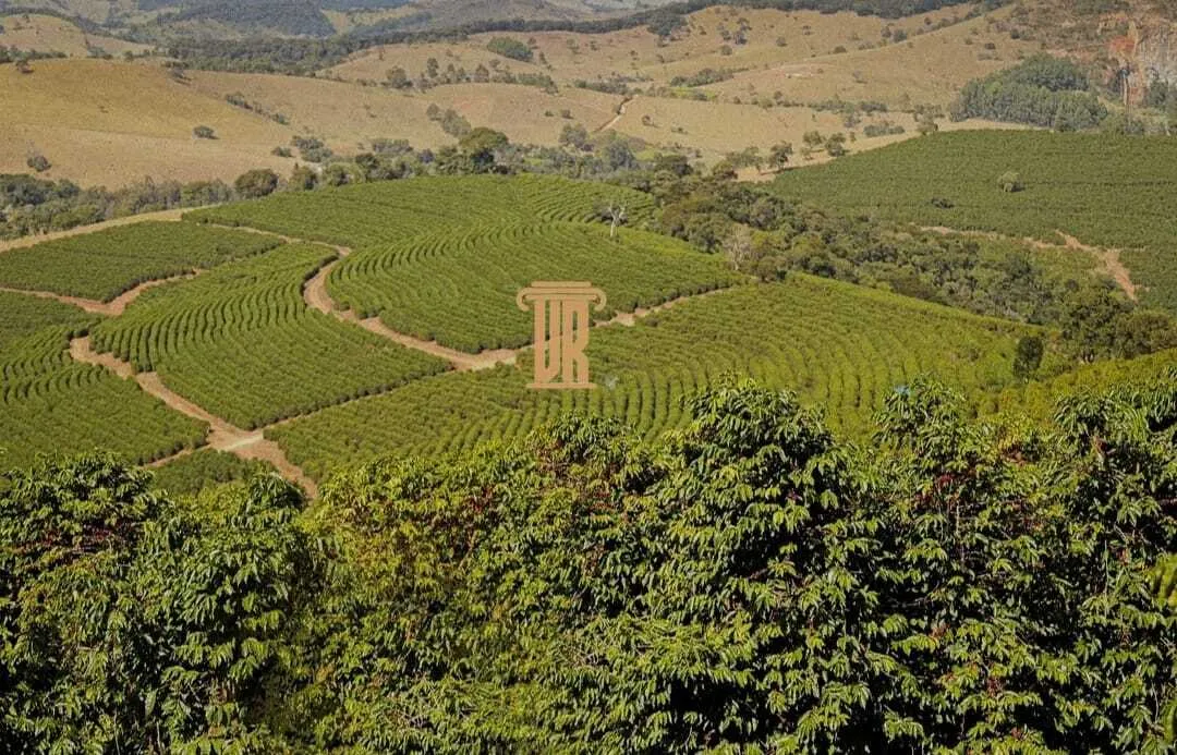 FAZENDA DE CAF&Eacute; COM TORREFA&Ccedil;&Atilde;O &Agrave; VENDA &ndash; PORTEIRA FECHADA &ndash; SUL DE MINAS/MG  São Lourenço - 