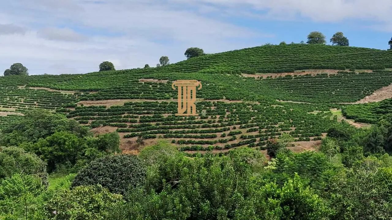 FAZENDA DE CAF&Eacute; COM TORREFA&Ccedil;&Atilde;O &Agrave; VENDA &ndash; PORTEIRA FECHADA &ndash; SUL DE MINAS/MG  São Lourenço - 