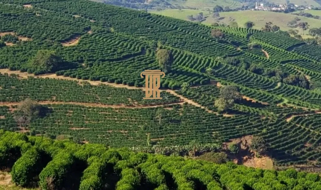 FAZENDA DE CAF&Eacute; COM TORREFA&Ccedil;&Atilde;O &Agrave; VENDA &ndash; PORTEIRA FECHADA &ndash; SUL DE MINAS/MG  São Lourenço - 