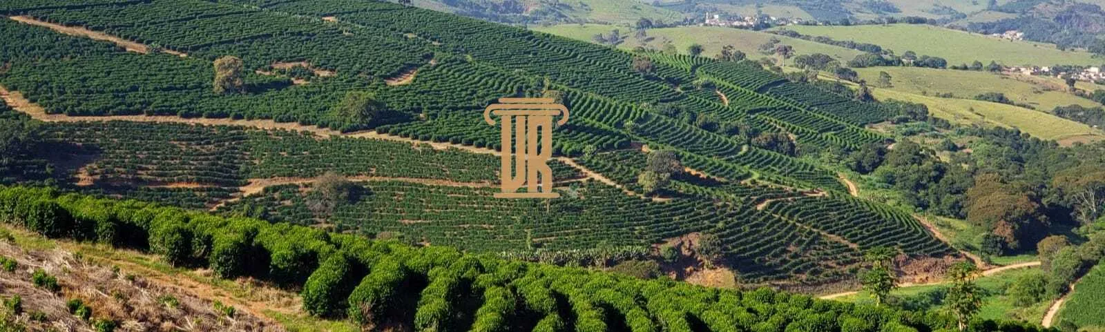 FAZENDA DE CAF&Eacute; COM TORREFA&Ccedil;&Atilde;O &Agrave; VENDA &ndash; PORTEIRA FECHADA &ndash; SUL DE MINAS/MG  São Lourenço - 