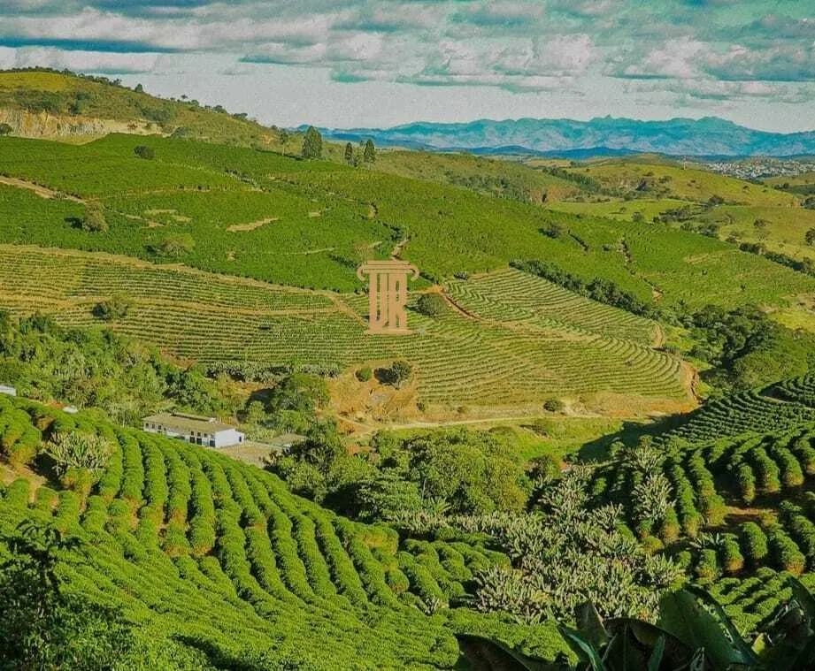 FAZENDA DE CAF&Eacute; COM TORREFA&Ccedil;&Atilde;O &Agrave; VENDA &ndash; PORTEIRA FECHADA &ndash; SUL DE MINAS/MG  São Lourenço - 