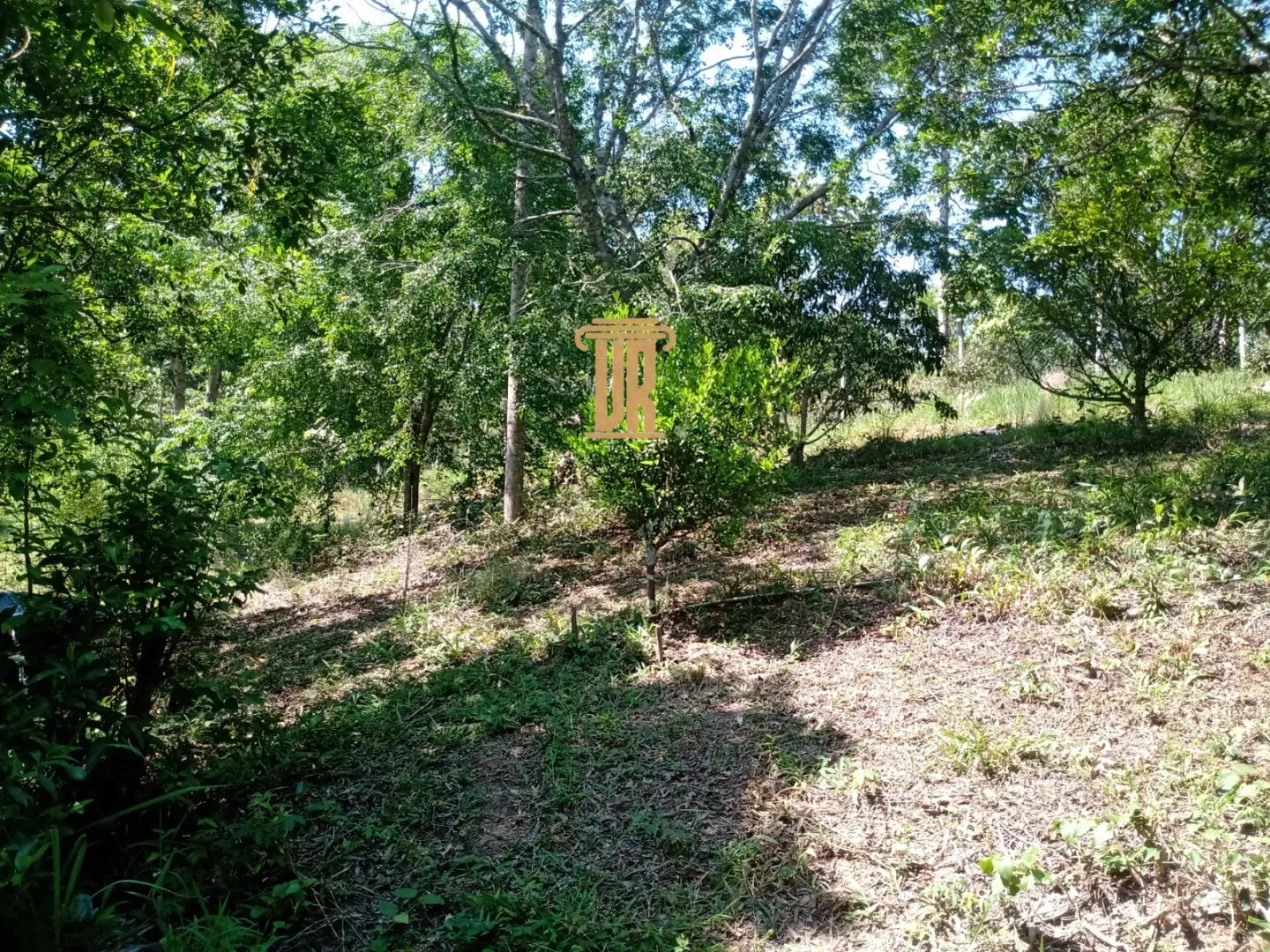 CH&Aacute;CARA DE 10.000M EM CONDOM&Iacute;NIO EM S&Atilde;O JOS&Eacute; DOS CAMPOS  São José dos Campos - 