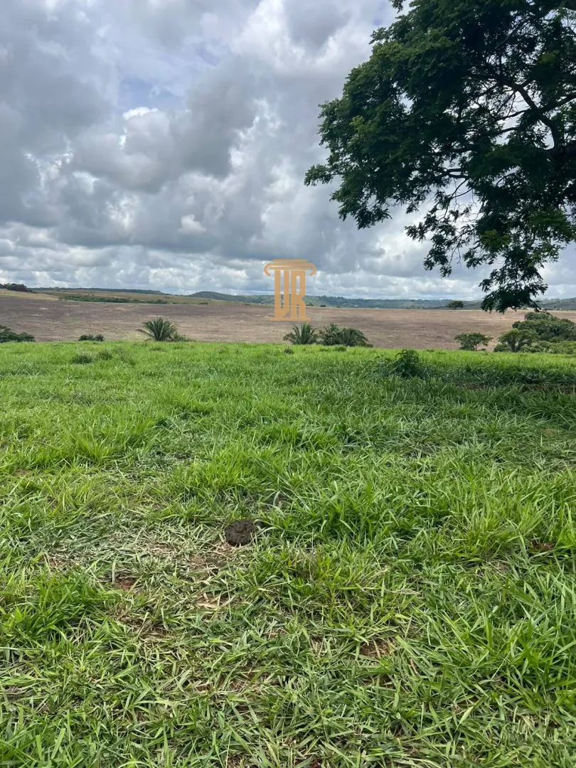 FAZENDA &Agrave; VENDA EM PARACATU 1.300 HECTARES  &ndash; MG  Paracatu - 
