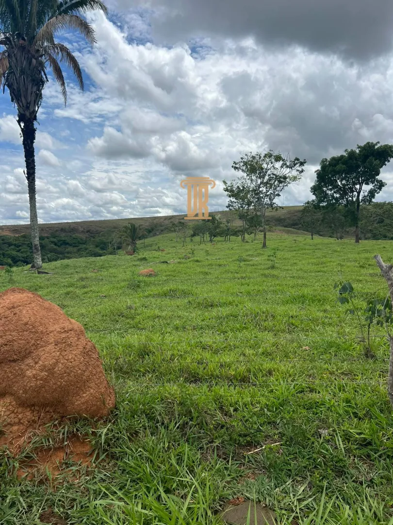 FAZENDA &Agrave; VENDA EM PARACATU 1.300 HECTARES  &ndash; MG  Paracatu - 