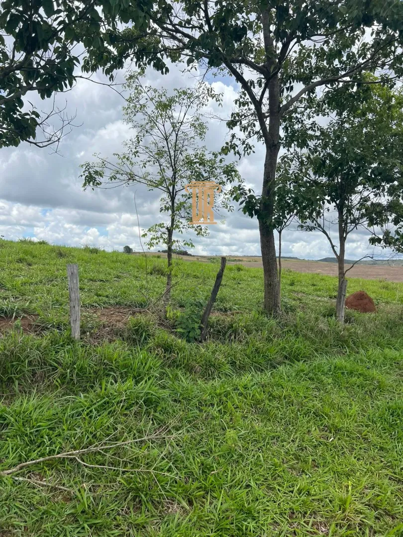 FAZENDA &Agrave; VENDA EM PARACATU 1.300 HECTARES  &ndash; MG  Paracatu - 