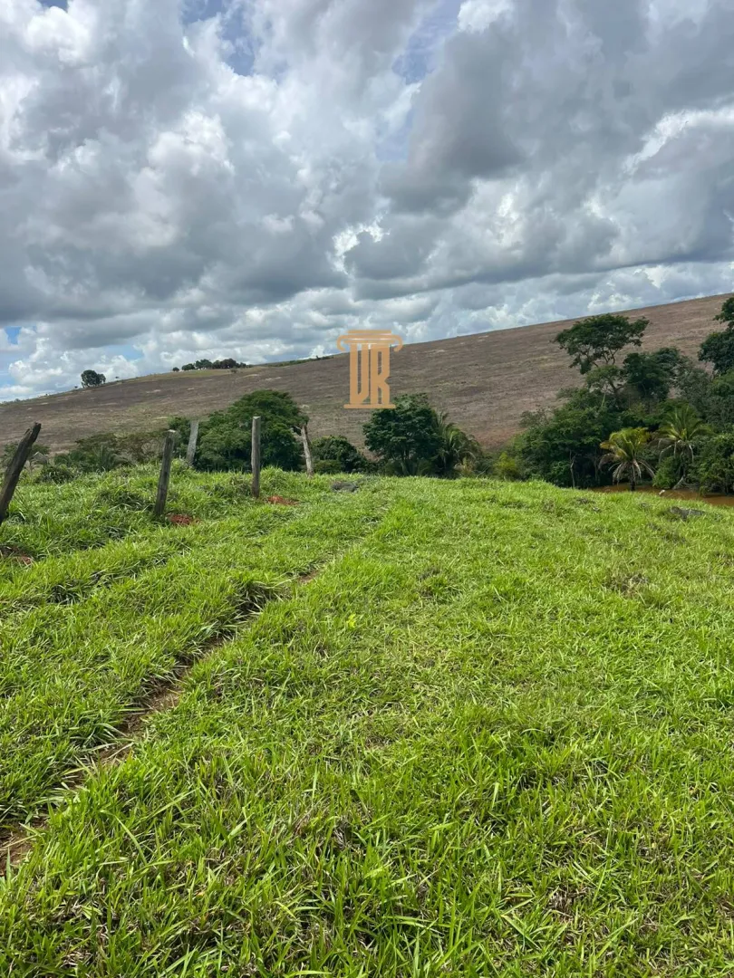 FAZENDA &Agrave; VENDA EM PARACATU 1.300 HECTARES  &ndash; MG  Paracatu - 