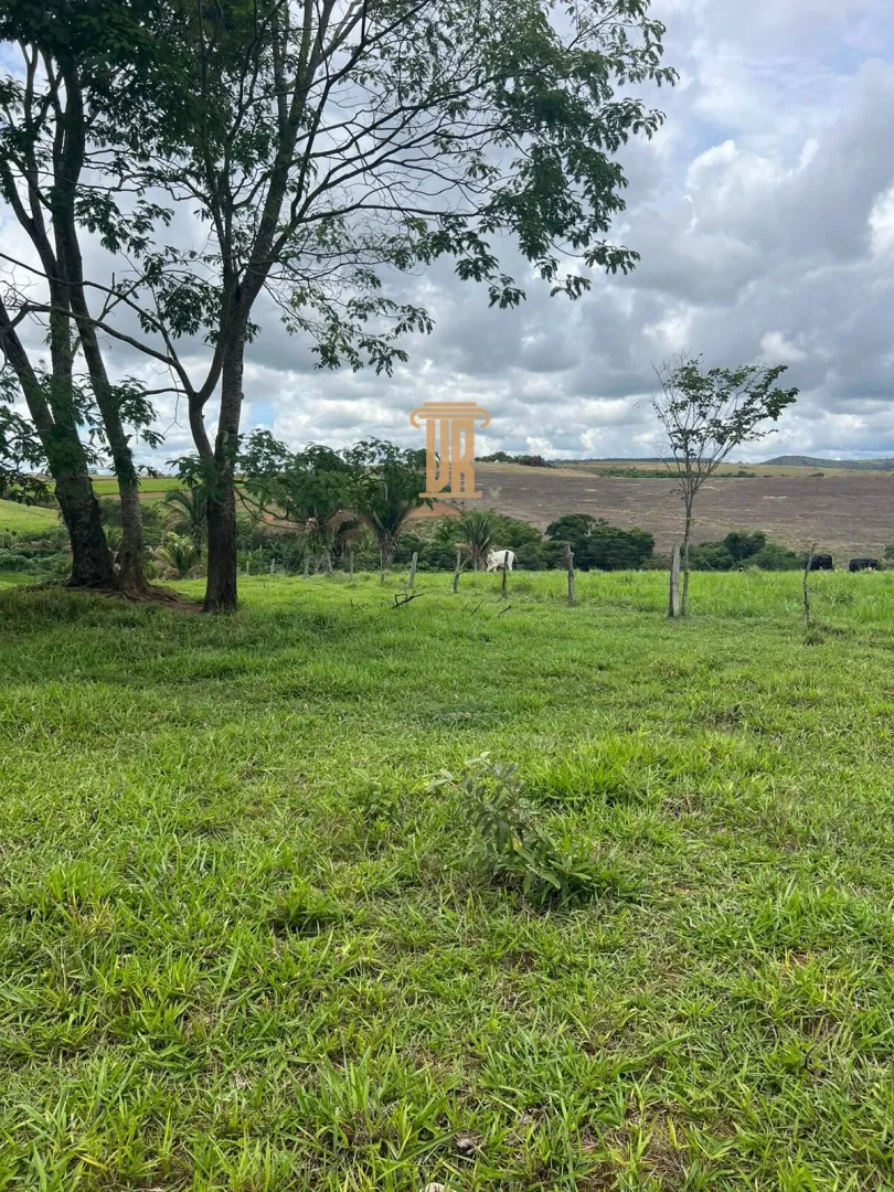 FAZENDA &Agrave; VENDA EM PARACATU 1.300 HECTARES  &ndash; MG  Paracatu - 
