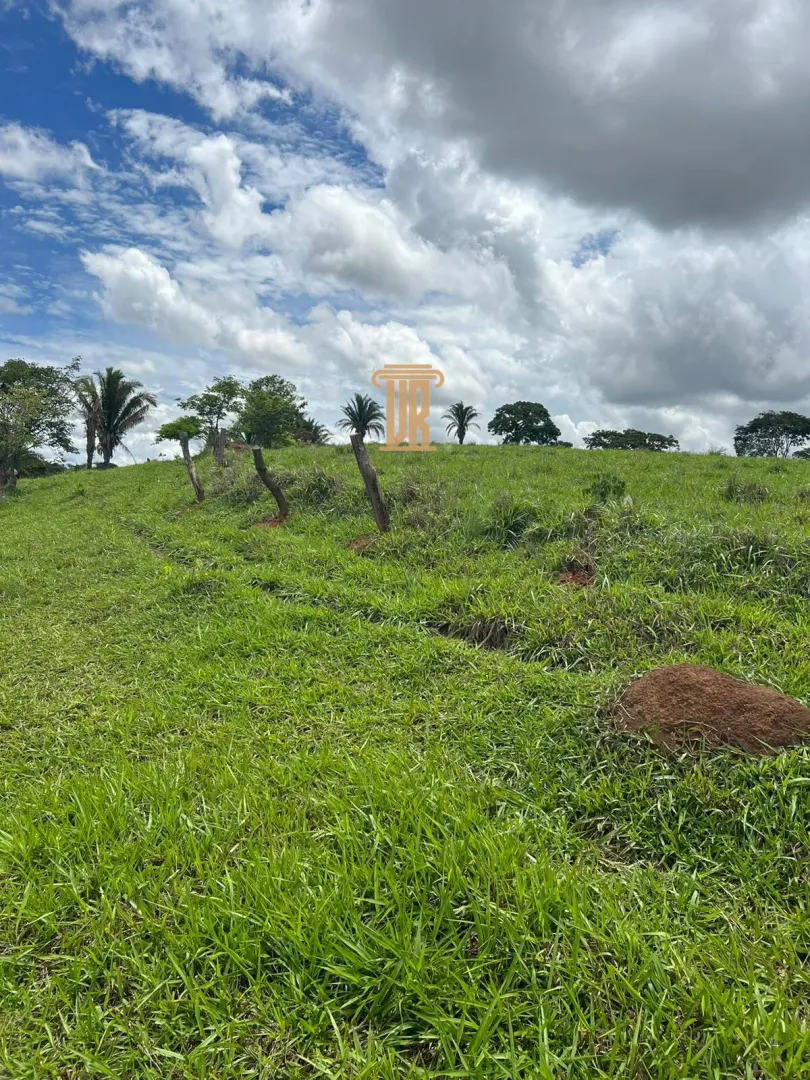 FAZENDA &Agrave; VENDA EM PARACATU 1.300 HECTARES  &ndash; MG  Paracatu - 