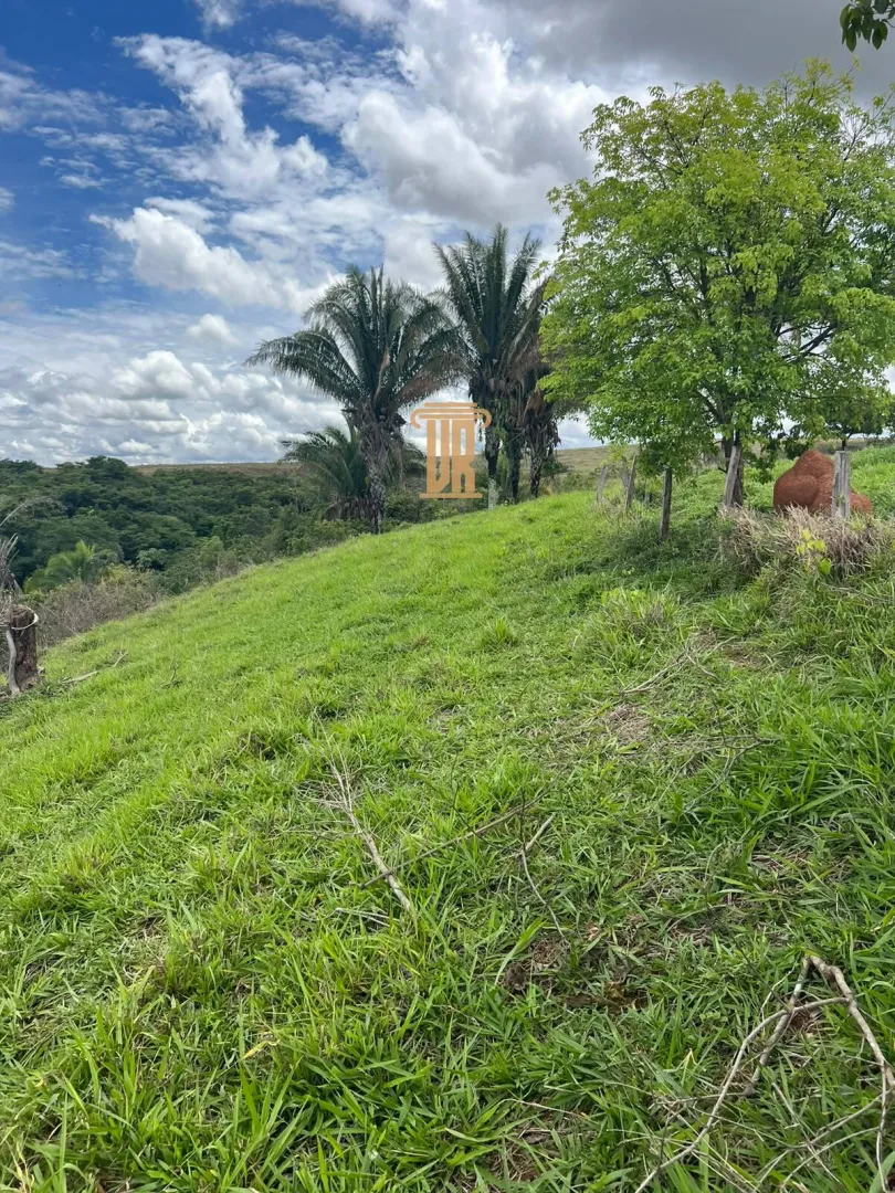 FAZENDA &Agrave; VENDA EM PARACATU 1.300 HECTARES  &ndash; MG  Paracatu - 