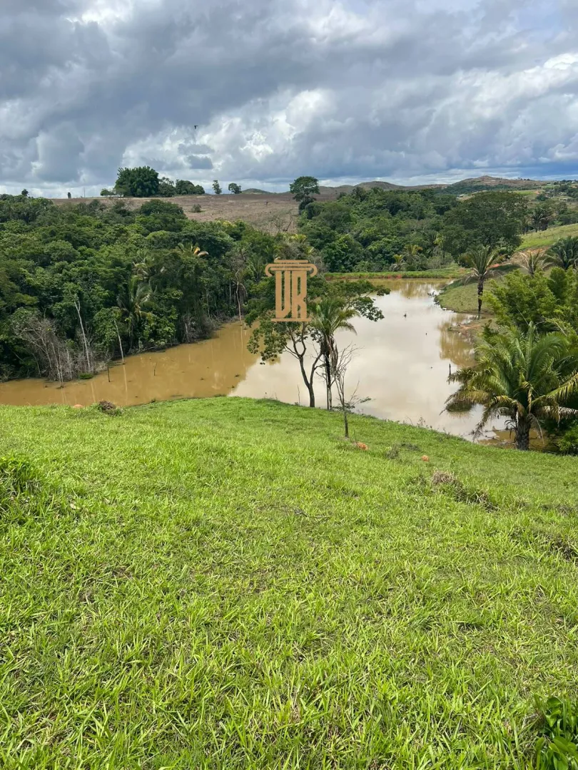 FAZENDA &Agrave; VENDA EM PARACATU 1.300 HECTARES  &ndash; MG  Paracatu - 